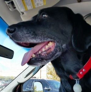 Meet your Posher, Timothy